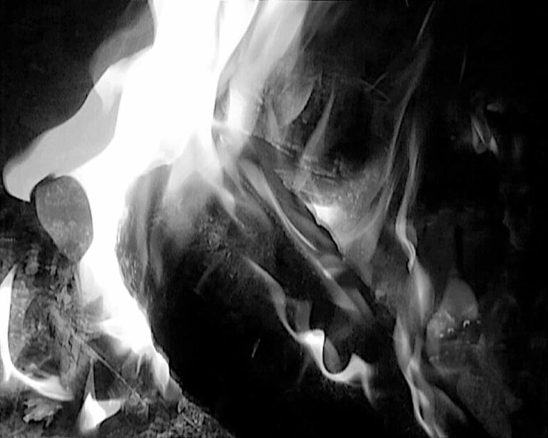 Nocturne Blanc-chasseur